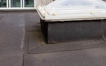 disadvantages of Rhos Ddu flat roofs